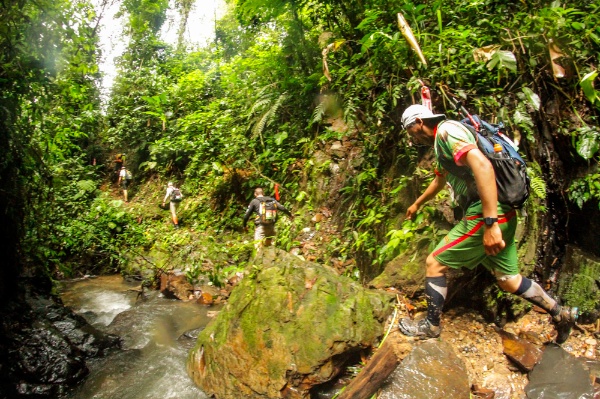 jungleultra