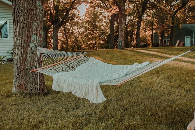 steph-q-s8ebg13PGIM-unsplash